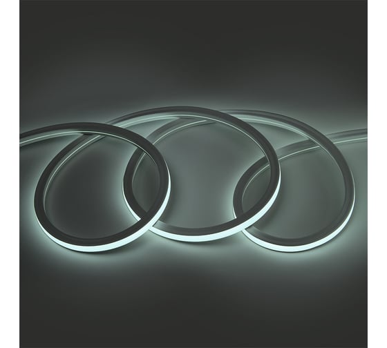 Светодиодная лента General Lighting Systems гибкий неон квадрат 50 м, 9,6Вт/м, 220В, 6500К,холодный белый GLS-2835-120-9.6-220-IP67-BSNL-6 504218