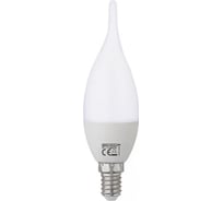 Лампа светодиодная HOROZ ELECTRIC CRAFT-8 FC37 8W 3000K E14 175-250V 001-004-0008 HRZ33002926