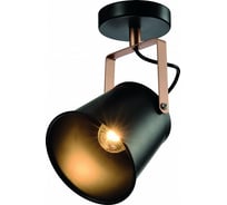 Светильник настенно-потолочный спот Rivoli Acuto 7015701 1 х Е27 40 Вт поворотный Б0061501