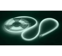 Лента светодиодная термостойкая для бани ЭРА LS28359,6120246500KIP683 year5m (холодный бел.) Б0062329