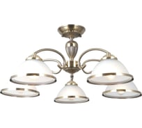 Люстра потолочная Citilux ALONSO Бронза CL422153