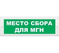 Световое табло ЭЛТЕХ-СЕРВИС М-24 Место сбора для МГН (текст, зеленый фон) 00000000500