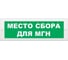 Световое табло ЭЛТЕХ-СЕРВИС М-24 Место сбора для МГН (текст, зеленый фон) 00000000500 1