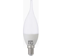 Светодиодная лампа HOROZ ELECTRIC CRAFT-6 6W 4200K E14 175-250V 001-004-0006 HRZ00000030