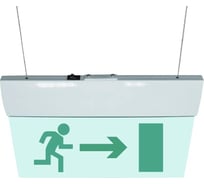 Световое табло ЭЛТЕХ-СЕРВИС М-220-РИП-УЛЬТРА Человек вправо в дверь (подвесное крепление) ЭТ000000197