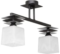Люстра Vitaluce V4232/2PL