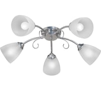 Люстра Vitaluce V3819-9/5PL