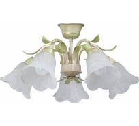 Люстра Vitaluce V1451/5PL