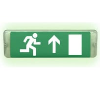 Световое табло ЭЛТЕХ-СЕРВИС М-220-РИП-AQUA исп.1 аварийный Человек стрелка вверх в дверь ЭТ000000715