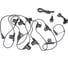 Гирлянда Белт-лайт Uniel, UDL-K121, 10/E27/5M, 5C, IP65, BLACK, BELT-LIGHT, шаг 50см UL-00007150 1