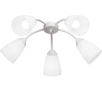 Люстра Vitaluce V3187/5PL
