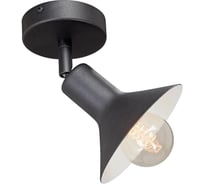 Люстра Vitaluce V4807-1/1PL
