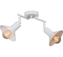 Люстра Vitaluce V4808-0/2PL