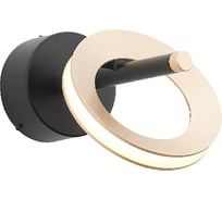 Настенный светильник FAVOURITE Jongleur 4322-1W