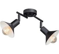 Люстра Vitaluce V4808-1/2PL