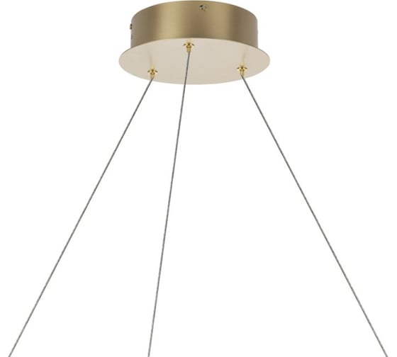 Люстра подвесная Lightstar Rotonda 736333