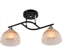 Люстра потолочная Schaffner Raton 3550-2, цвет черный. Освещение до 12 кв.м, мощность 120 Вт Raton 3550-2 BK+CR