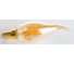 Светодиодная лампа THOMSON LED FILAMENT TAIL CANDLE 9W 855Lm E14 2400K GOLD TH-B2119 3