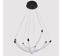 Подвесная люстра F-promo Hammock 4468-4P