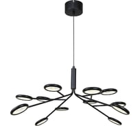 Подвесная люстра F-promo Mugs 4252-12P