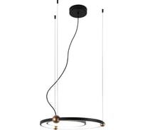 Подвесная люстра FAVOURITE Tornado 4569-1P