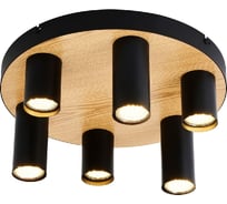 Потолочный светильник F-promo Olson 4431-6U