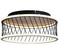 Потолочный светильник F-promo Korg 4436-2C