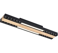 Потолочный светильник F-promo Zebra 4440-2C