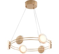 Подвесная люстра FAVOURITE Yo-yo 4334-6P