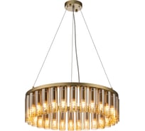 Подвесная люстра FAVOURITE Slang 4503-30P