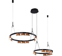 Подвесная люстра FAVOURITE Interline 4266-21P