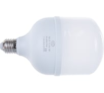 Лампа IONICH ILED-SMD2835-Т100-30-2700-220-6.5-E27 1506
