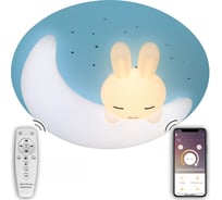 Светодиодный светильник NATALI KOVALTSEVA (люстра) 100W, синий, LED LAMPS 81087