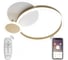 Светодиодный светильник NATALI KOVALTSEVA (люстра) 100W, бело-золотой, LED LAMPS 81303 1