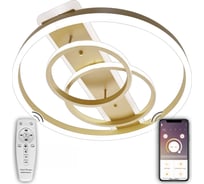 Светодиодный светильник NATALI KOVALTSEVA (люстра) 100W, золото, LED LAMPS 81302