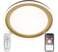 Светодиодный светильник NATALI KOVALTSEVA (люстра) 120W, золото, LED LAMPS 81301