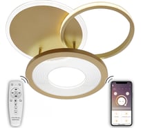 Светодиодный светильник NATALI KOVALTSEVA (люстра) 80W, золото, LED LED LAMPS 81300