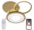 Светодиодный светильник NATALI KOVALTSEVA (люстра) 80W, золото, LED LED LAMPS 81300 1