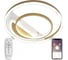 Светодиодный светильник NATALI KOVALTSEVA (люстра) 120W, бело-золотой, LED LAMPS 81311 1