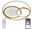Светодиодный светильник NATALI KOVALTSEVA (люстра) 160W, бело-золотой, LED LAMPS 81312 1