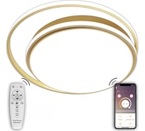 Светодиодный светильник NATALI KOVALTSEVA (люстра) 160W, золото, LED LAMPS 81315