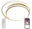 Светодиодный светильник NATALI KOVALTSEVA (люстра) 160W, золото, LED LAMPS 81315 1
