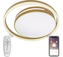 Светодиодный светильник NATALI KOVALTSEVA (люстра) 120W, золото, LED LAMPS 81304