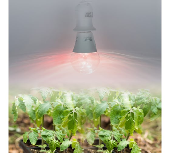 Лампа для растений Uniel LED-A60-10W/SPM3/E27/CL PLP35WH MULTIPLANT UL-00011438