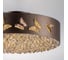 Люстра Lightstar FARAONE 24W LED 1839LM бронза 3000K 701021 2