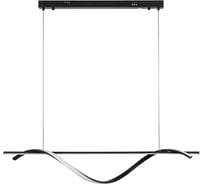 Люстра Lightstar ROTONDA 55W LED 2736LM 120G черный 3000-6000K 736447