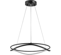 Люстра Lightstar ROTONDA 45W LED 2494LM 120G черный 3000-6000K 736517