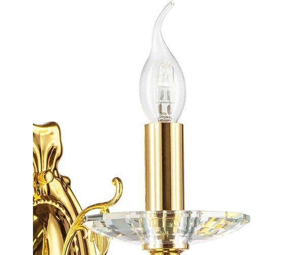 Бра Lightstar STREGARO 1х60W E14 золото 694612