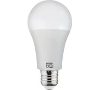 Светодиодная лампа HOROZ ELECTRIC PREMIER-18 18W 3000K E27 175-250V 001-006-0018 HRZ33002810