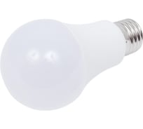 Светодиодная лампа HOROZ ELECTRIC PREMIER-12 12W 4200K E27 175-250V 001-006-0012 HRZ01000282